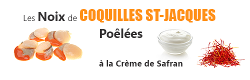 recette lefish gourmand de noix de coquilles saint jacques coraillees a la creme de safran